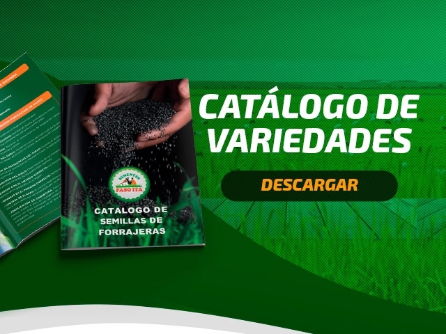Catalogo