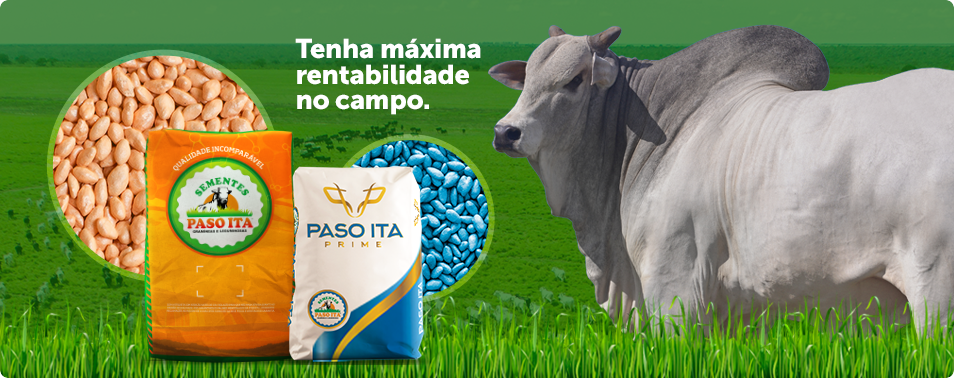 Gramíneas