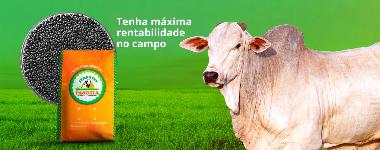Incrustados