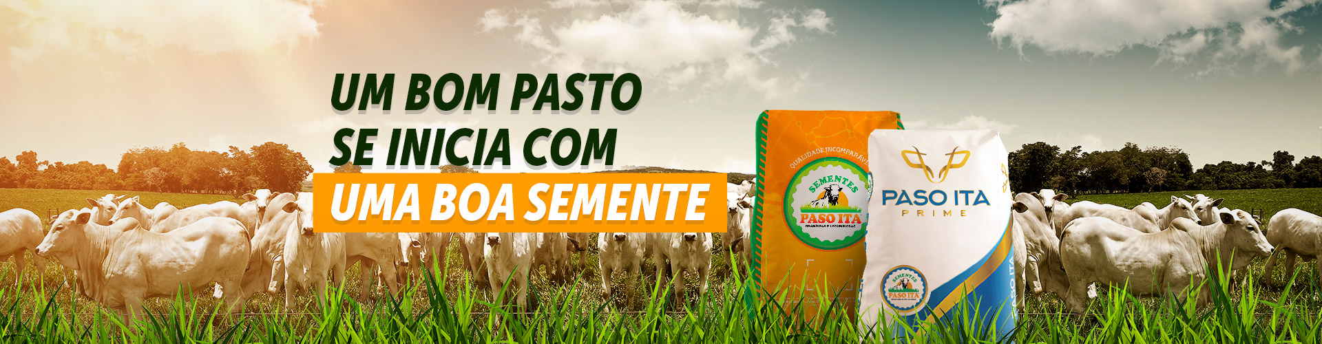 Um bom pasto se inicia com uma boa semente