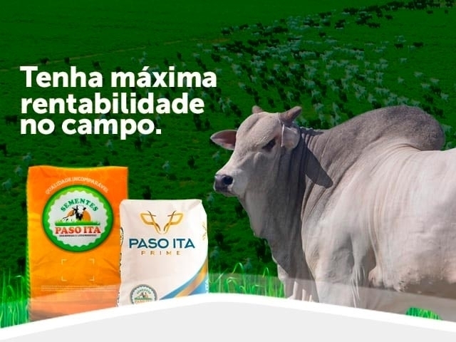 Um bom pasto se inicia com uma boa semente