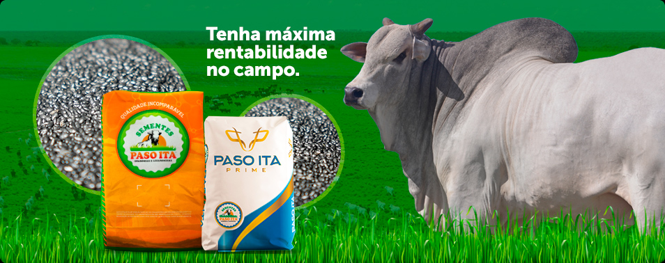 BVL Fertilizantes