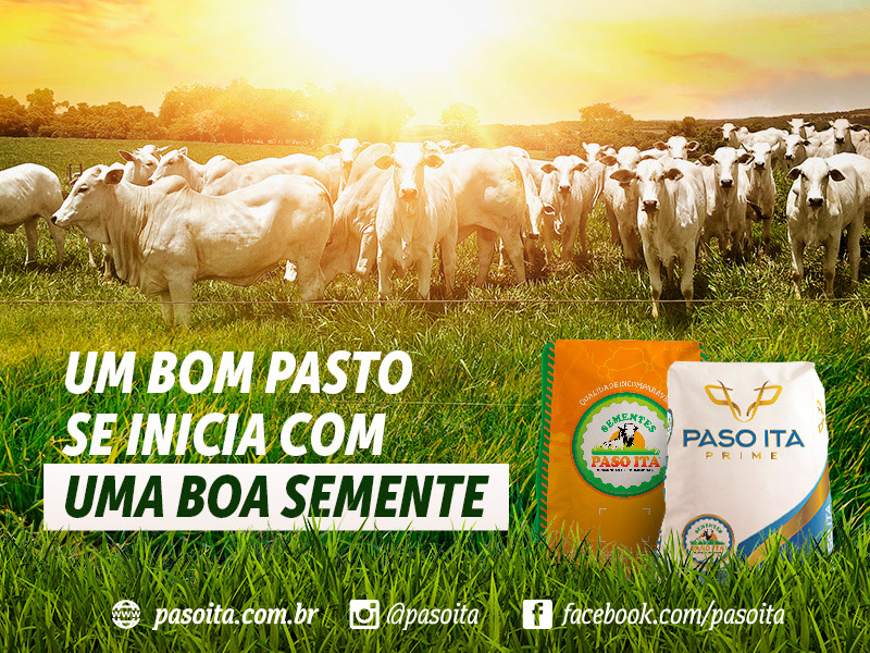 Um bom pasto se inicia com uma boa semente